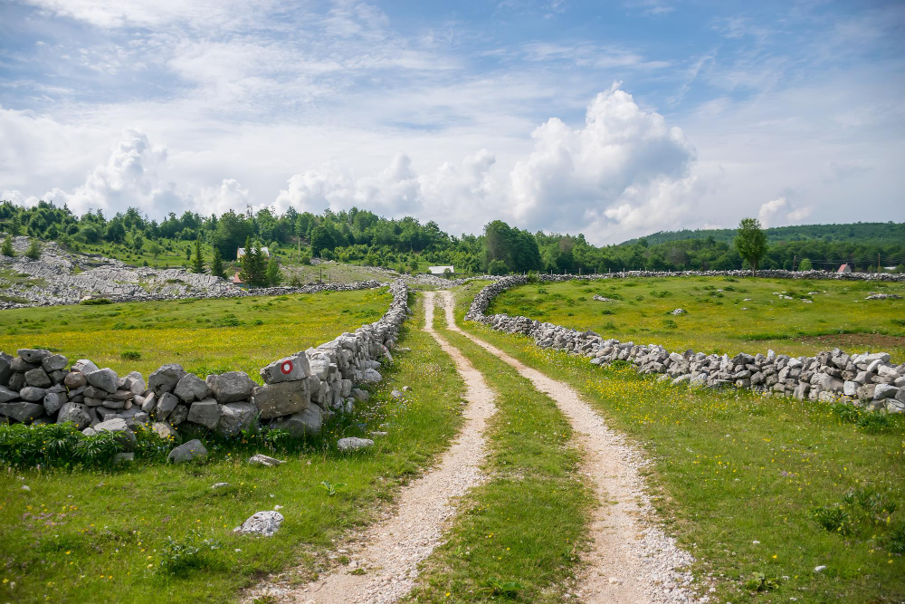 ancient track path