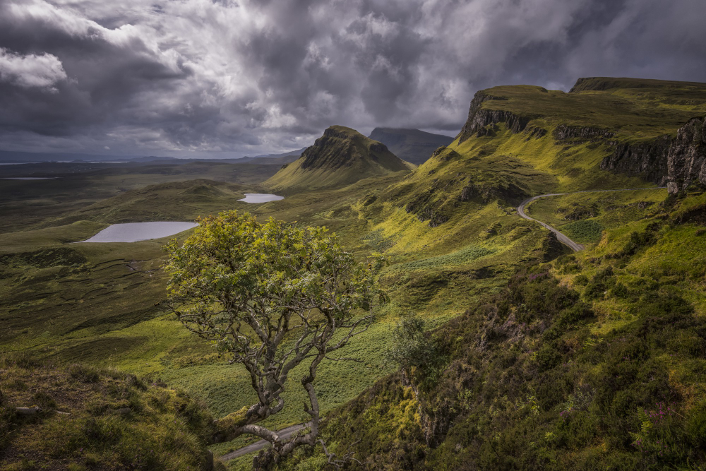 Landscape