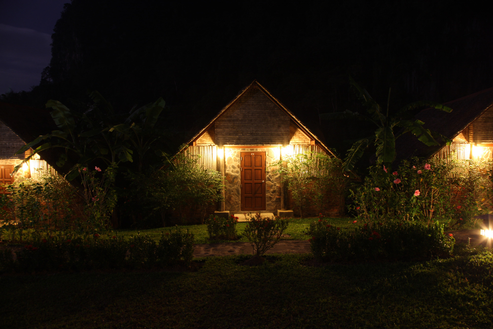 garden at night