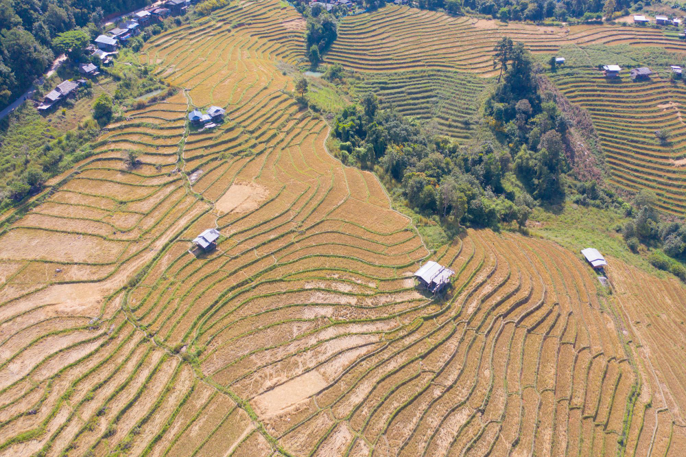 terraced hillside