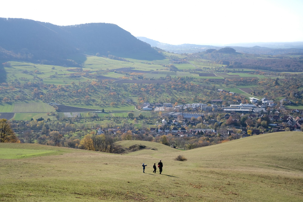 Downland