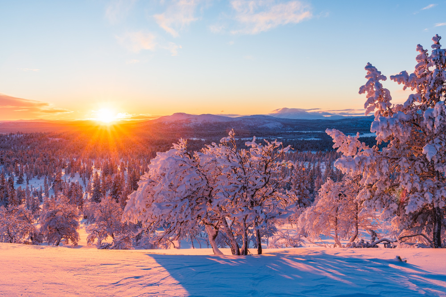 winter sun horizon landscape