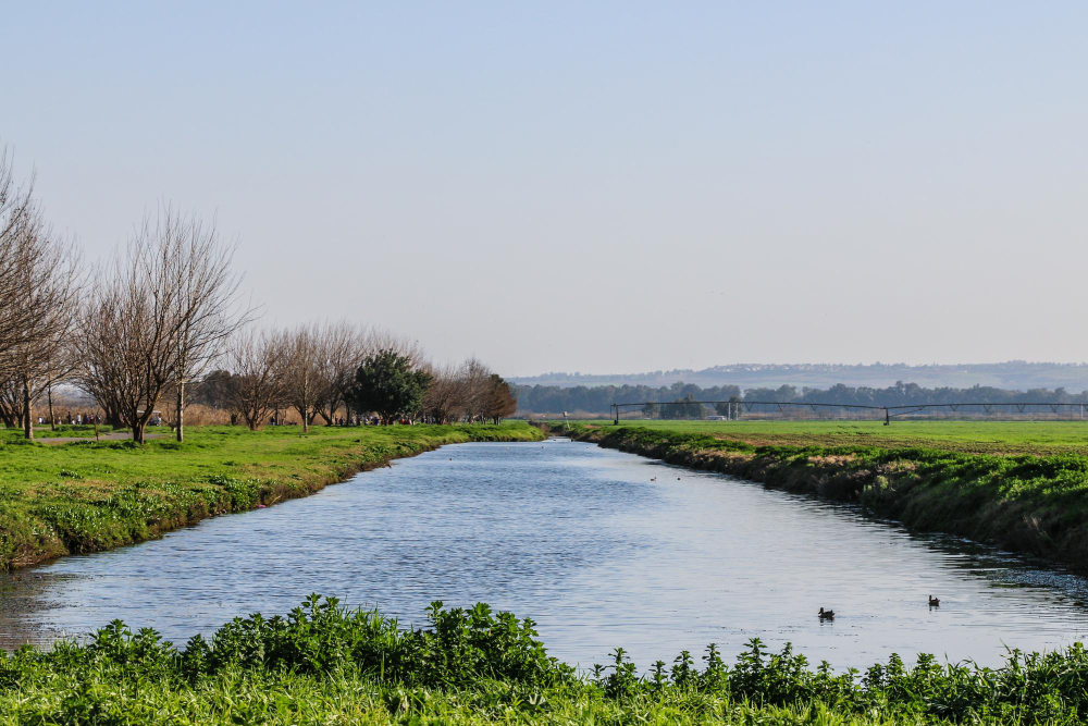 farmland canal