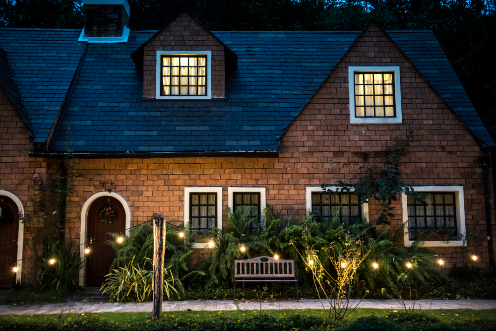 garden at night