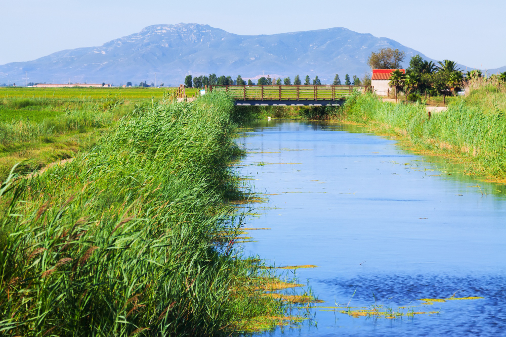 farmland canal