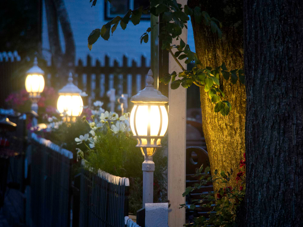 garden at night