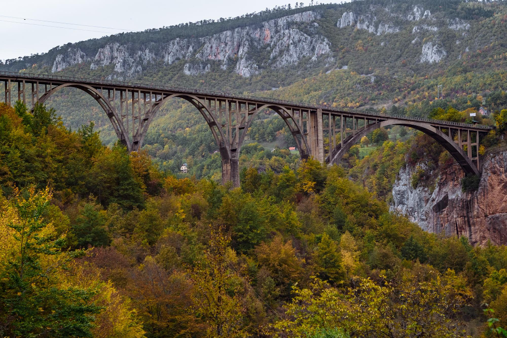 bridge
