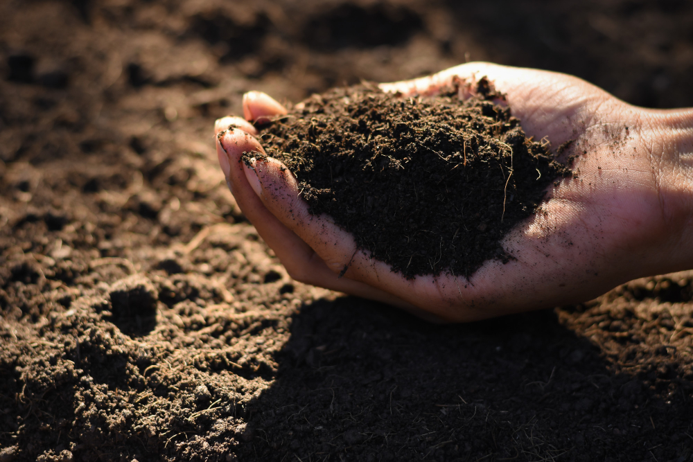 Soil