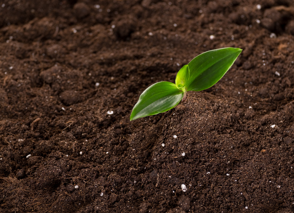 Soil