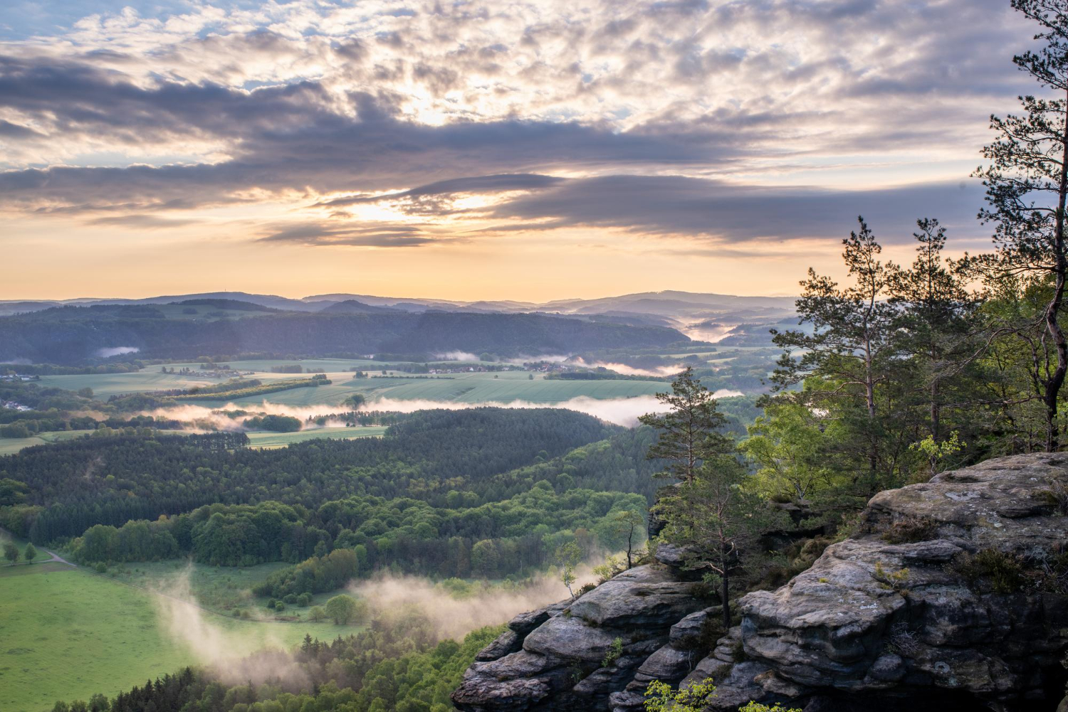 VIewpoint
