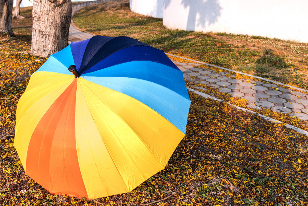 umbrella