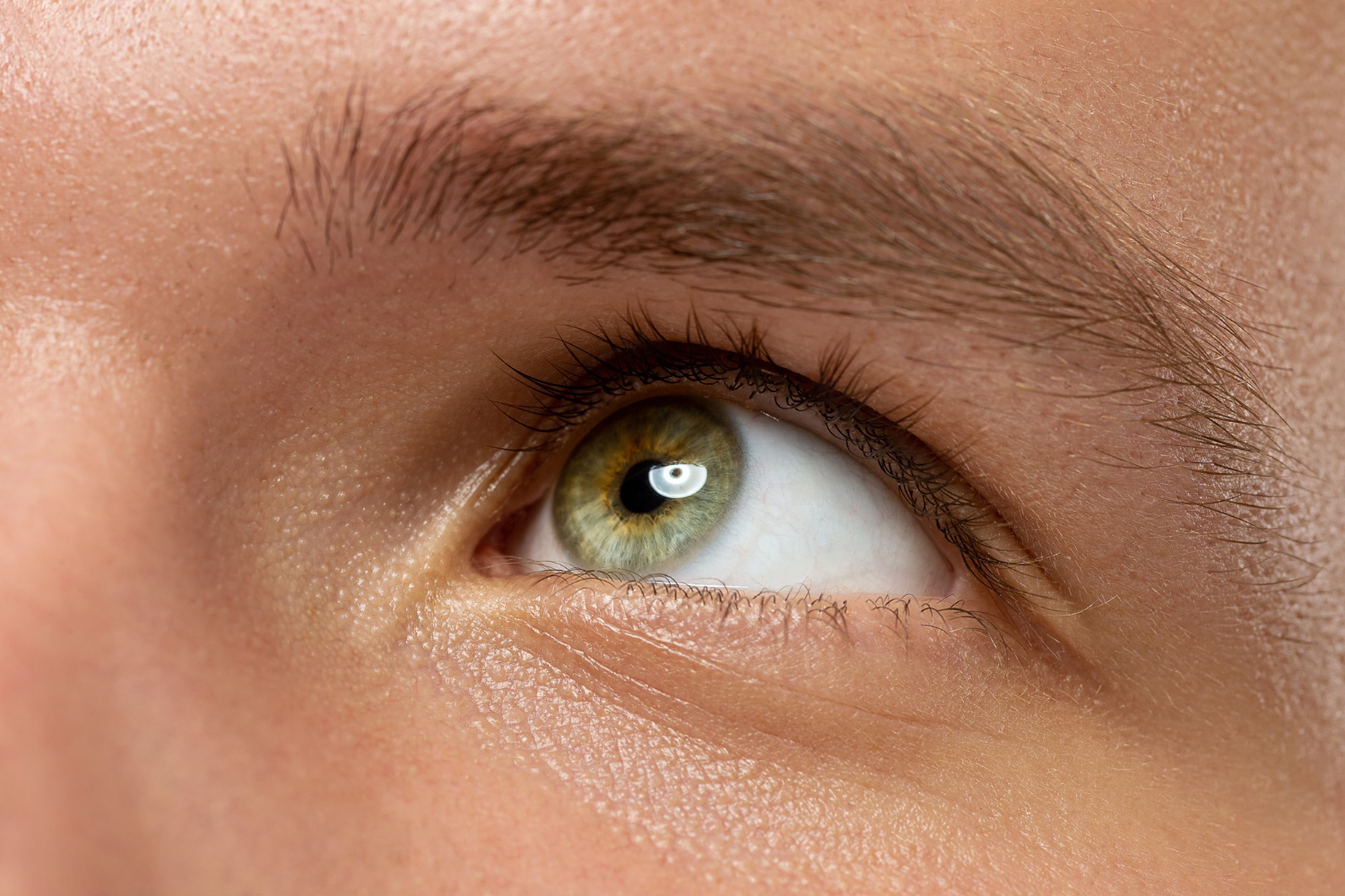 human eye close up