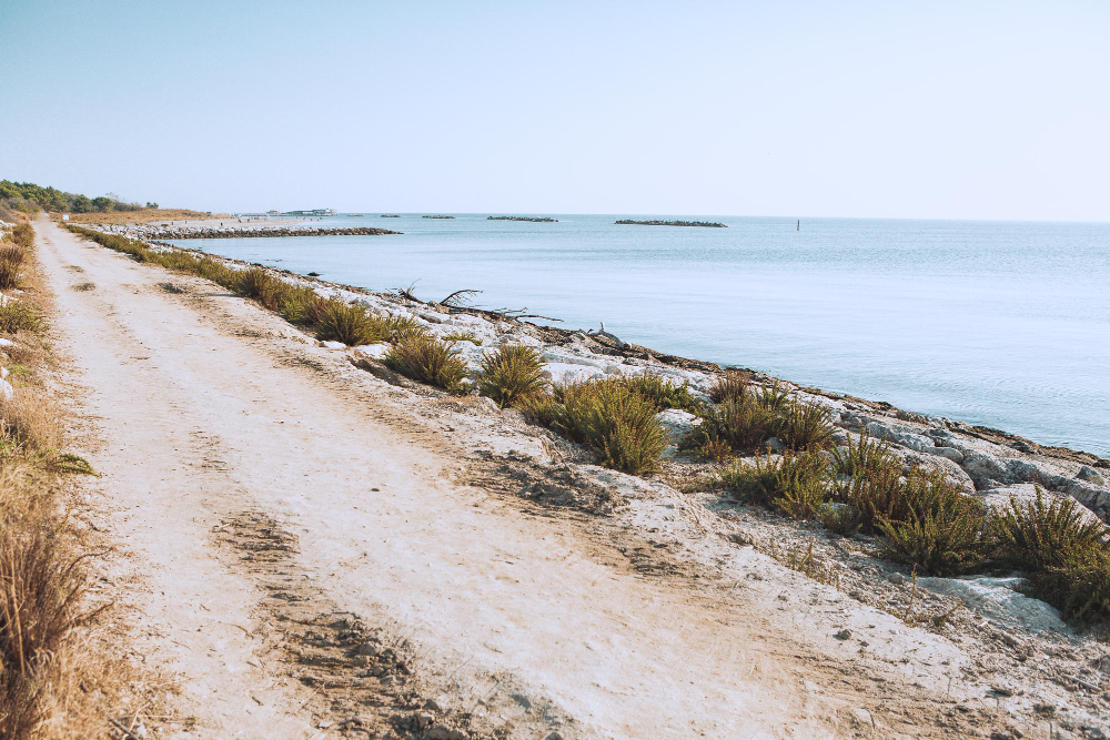 coastal path