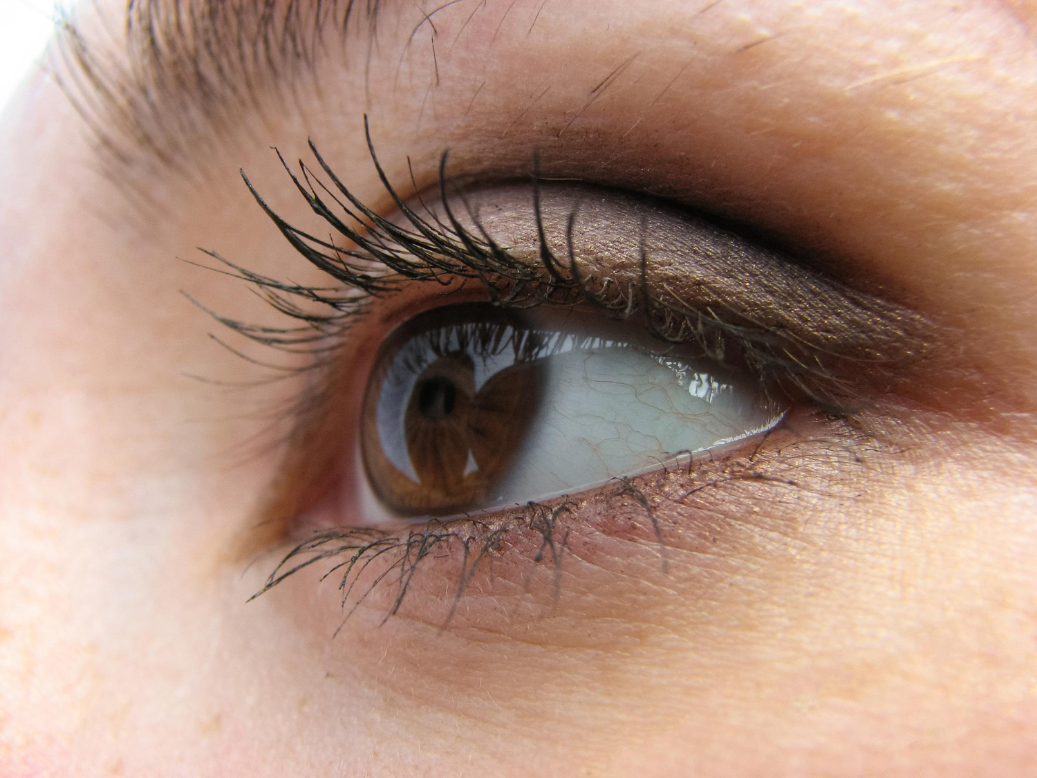 human eye close up