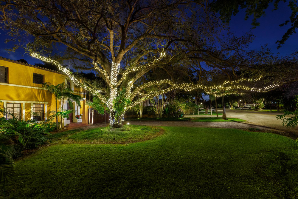 garden at night