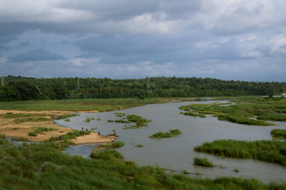 wetland