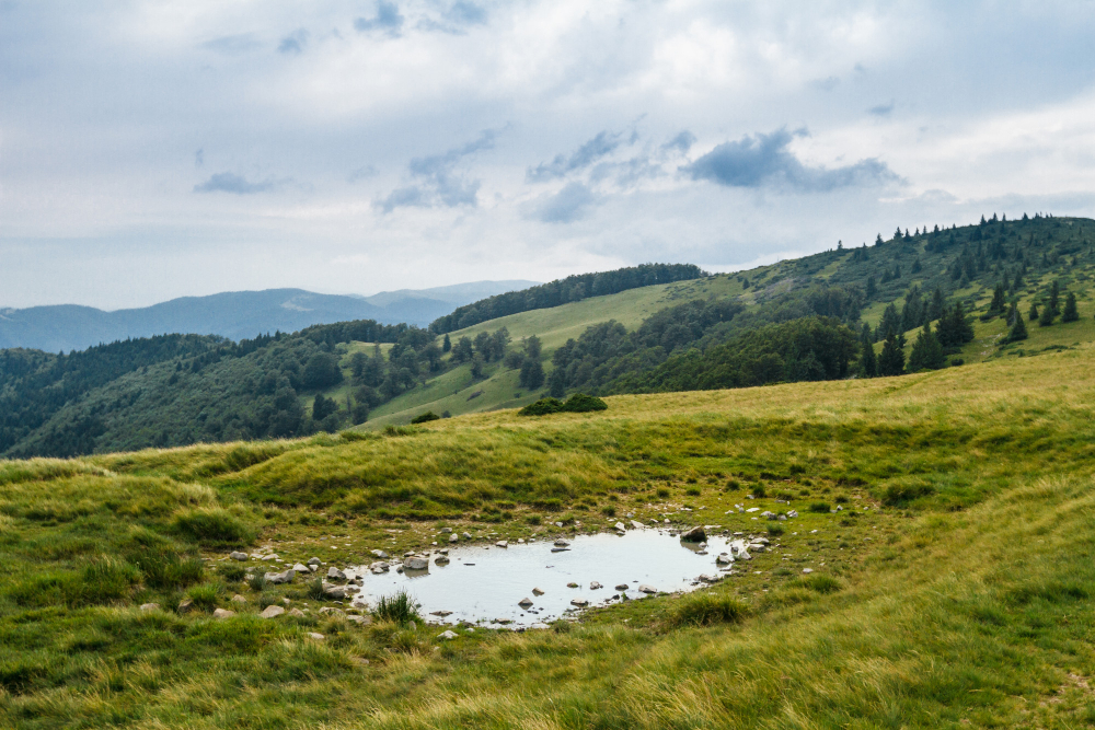 Landscape