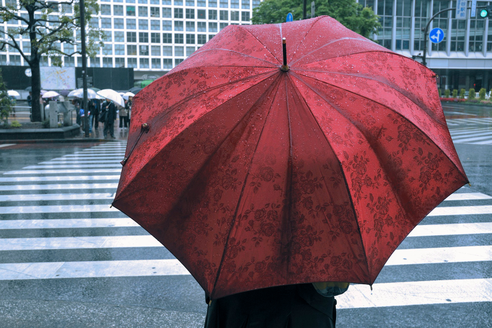 umbrella