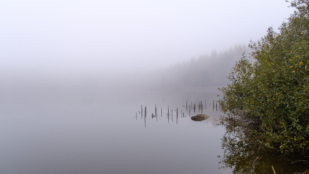 foggy coast