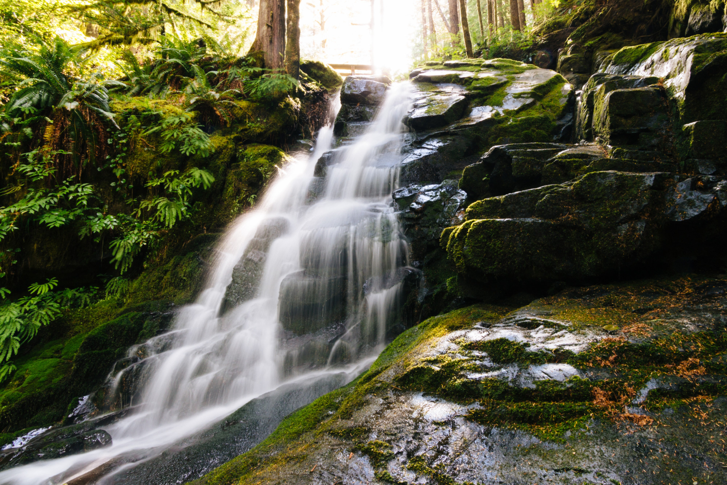 natural spring water