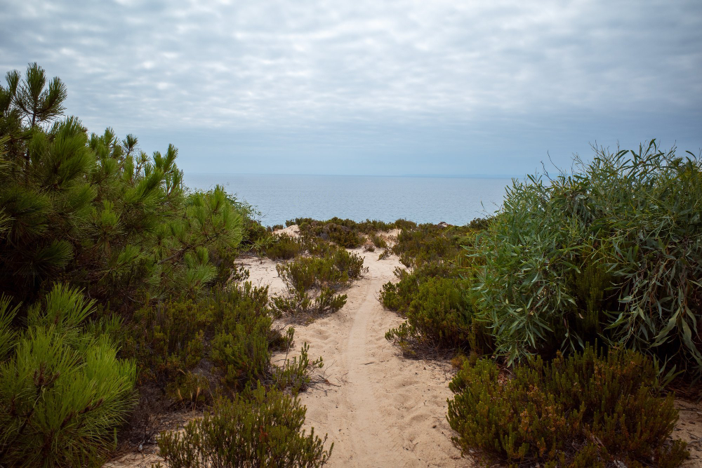 coastal path