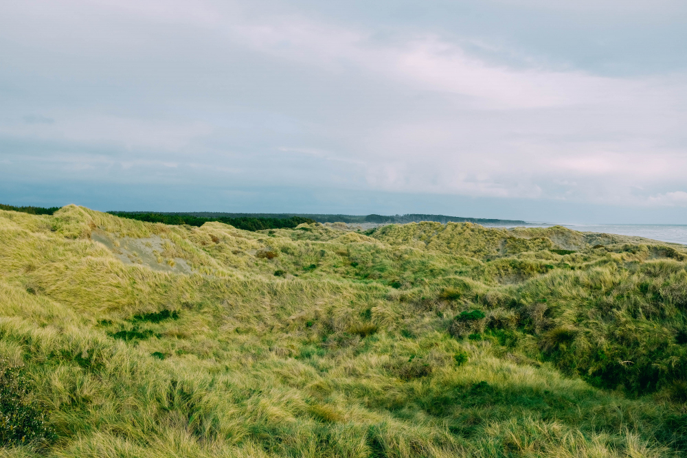 Landscape