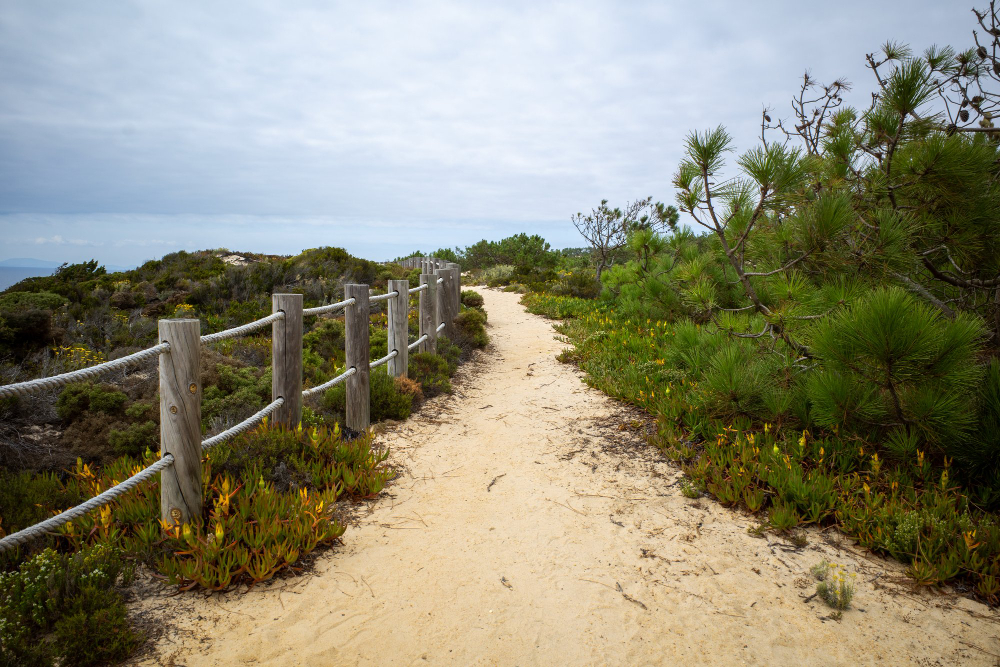 coastal path