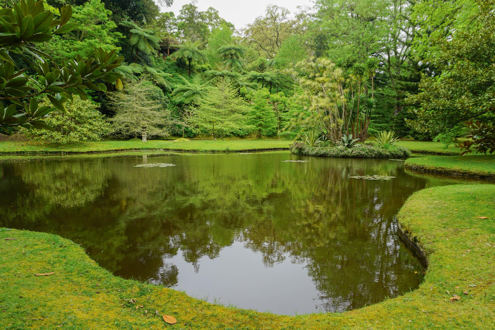 Pond