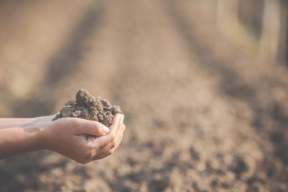 Soil