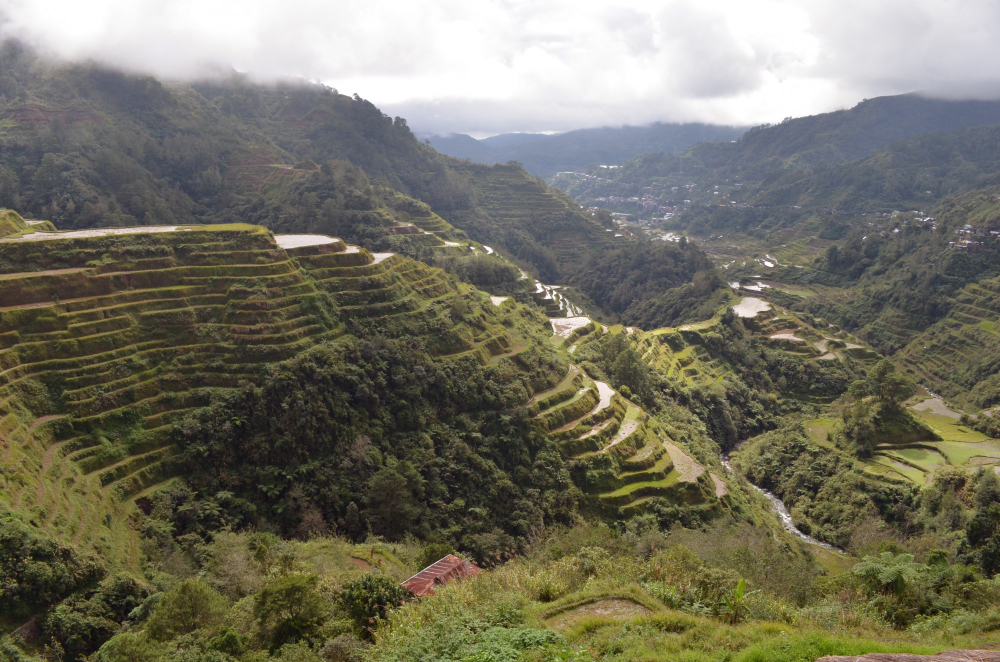 terraced hillside
