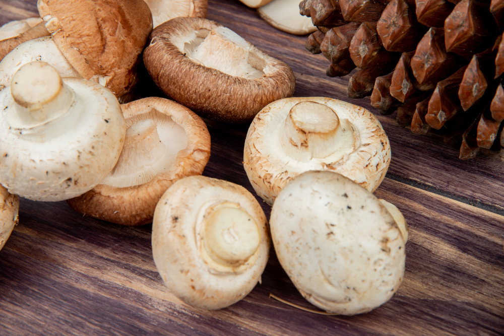 Mushroom