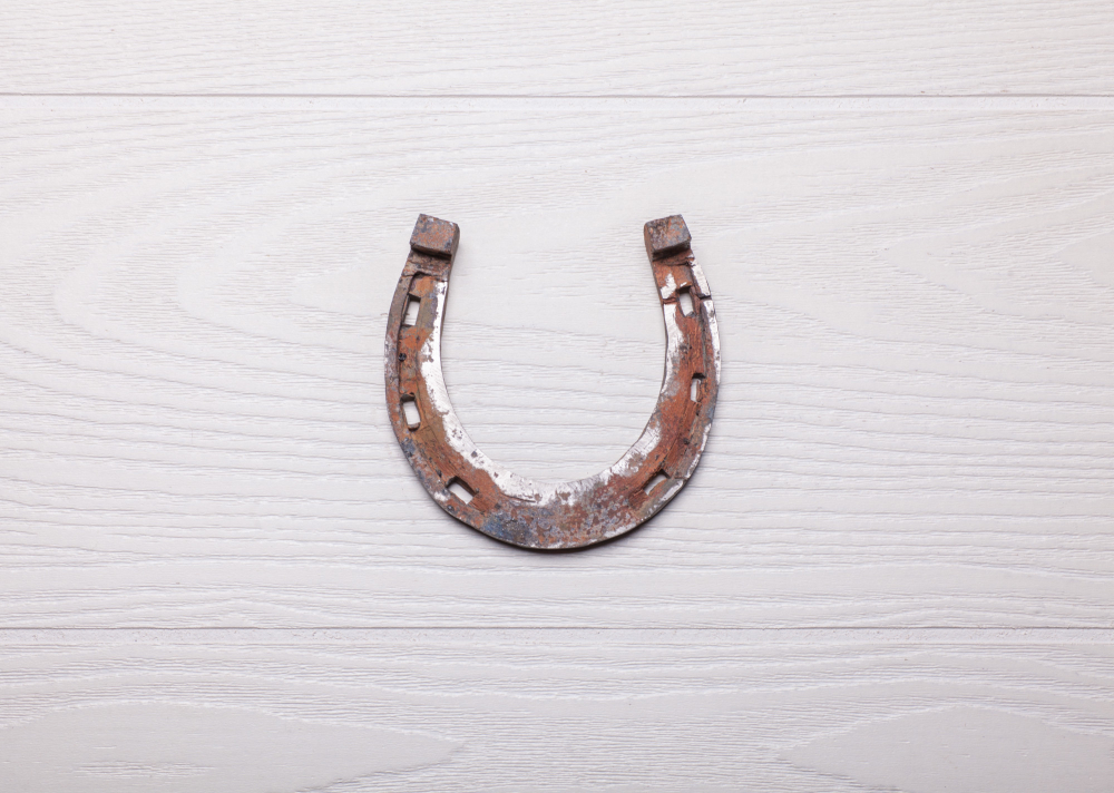 horseshoe