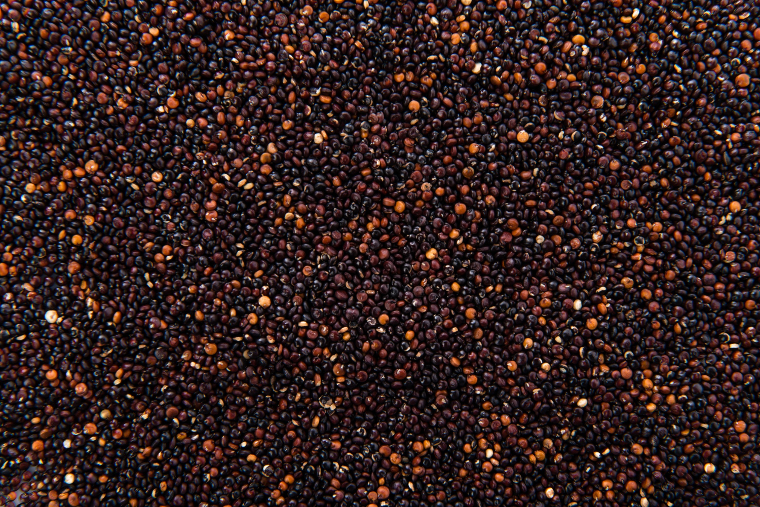 Mustards