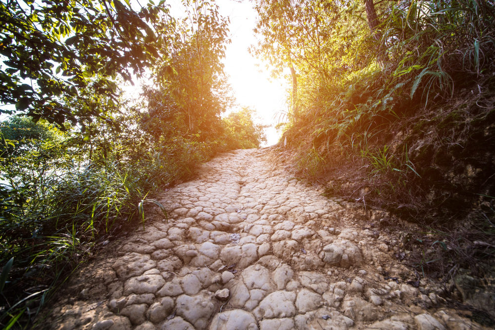 15 Kinds of Old Route and What Put Each One There