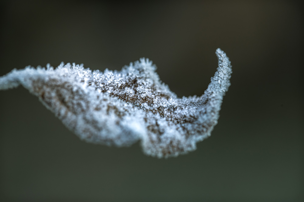 12 Ways Water Turns to Ice and Frost