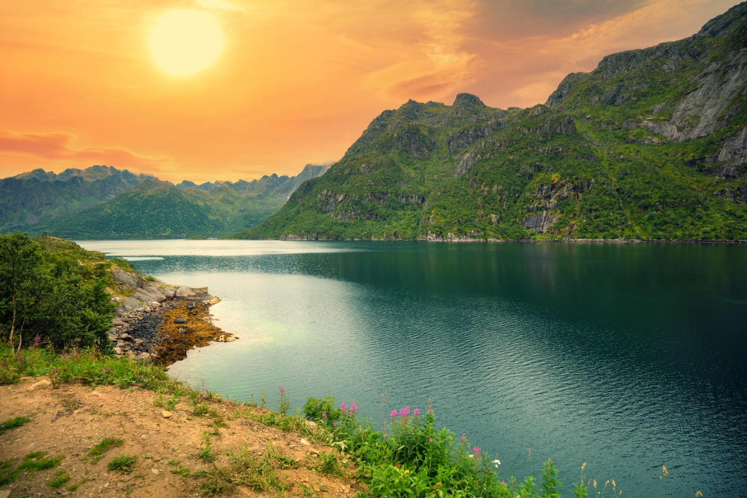 Nature