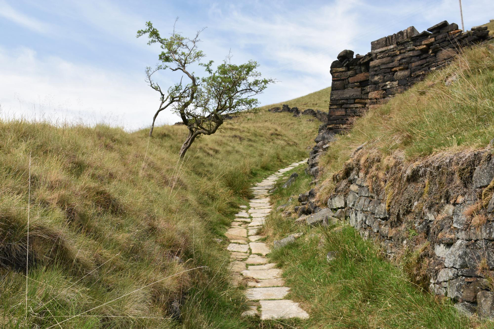 ancient track path