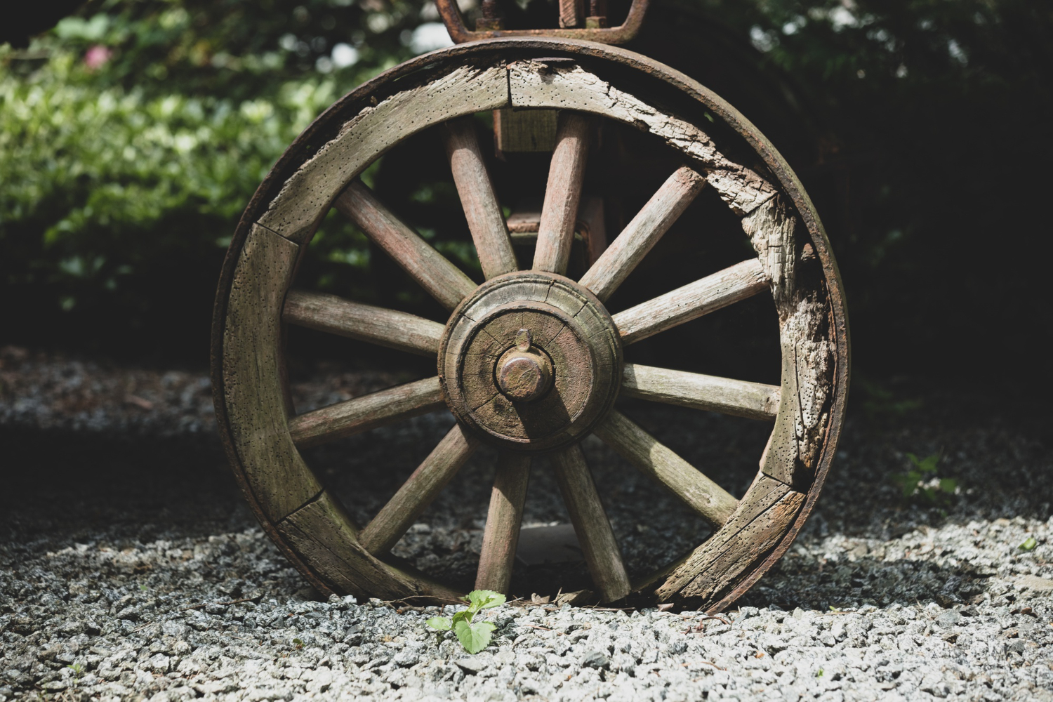 wooden wheel