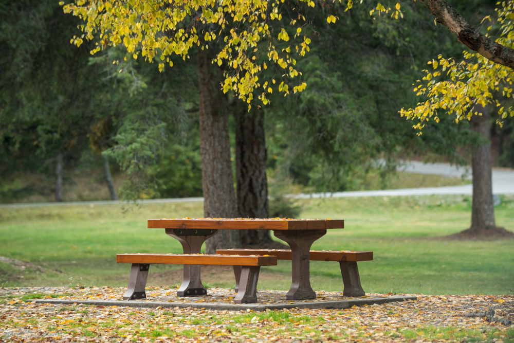 public park bench