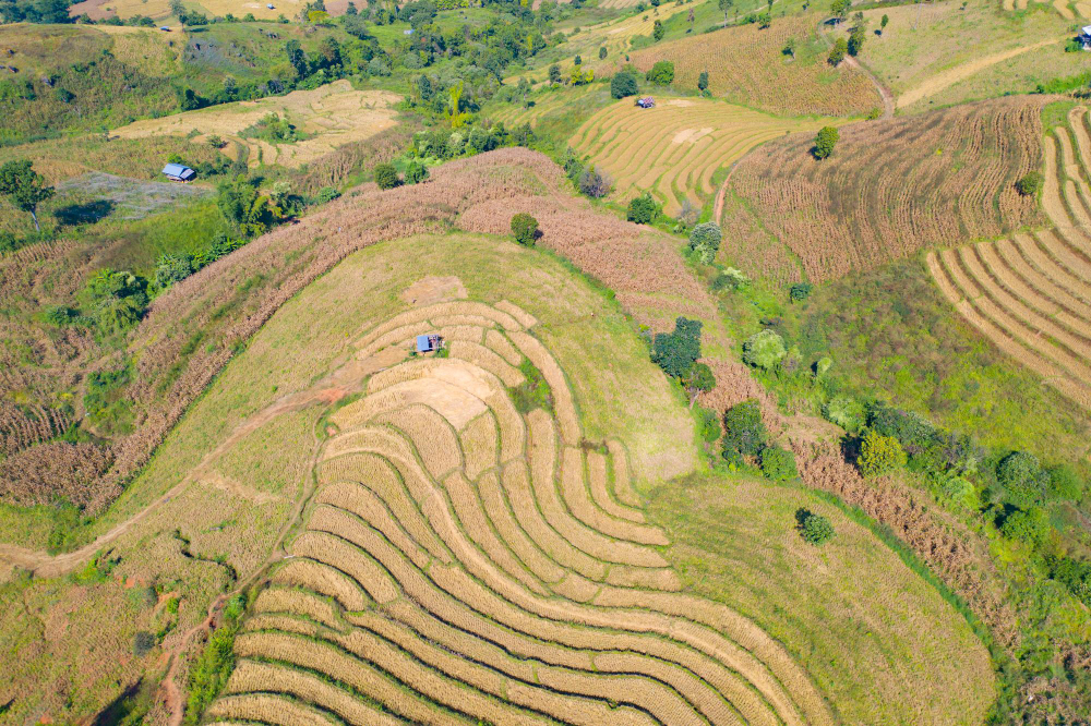 terraced hillside