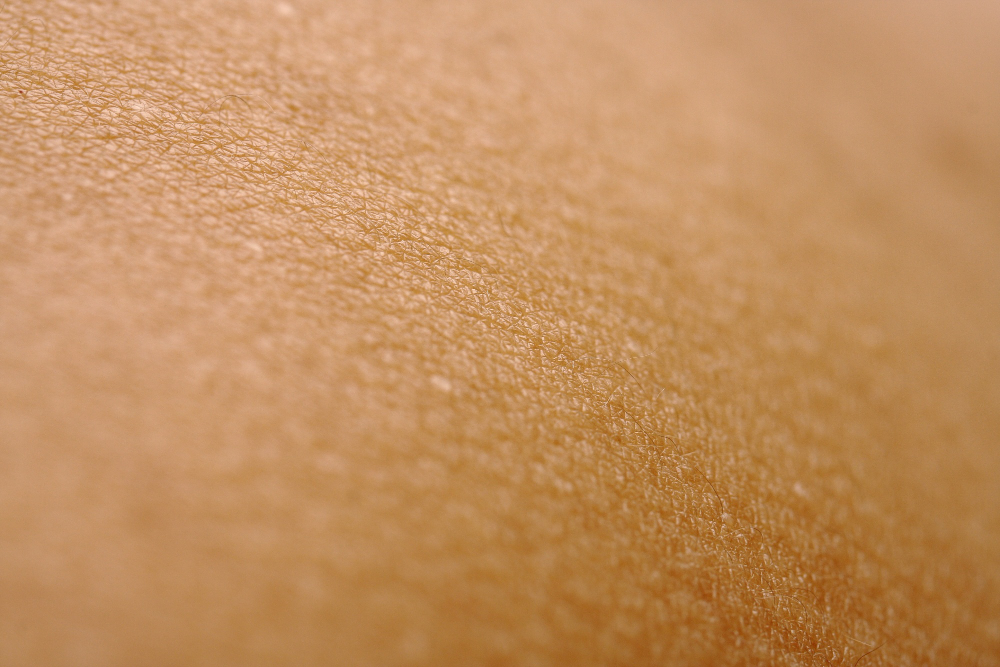 human skin