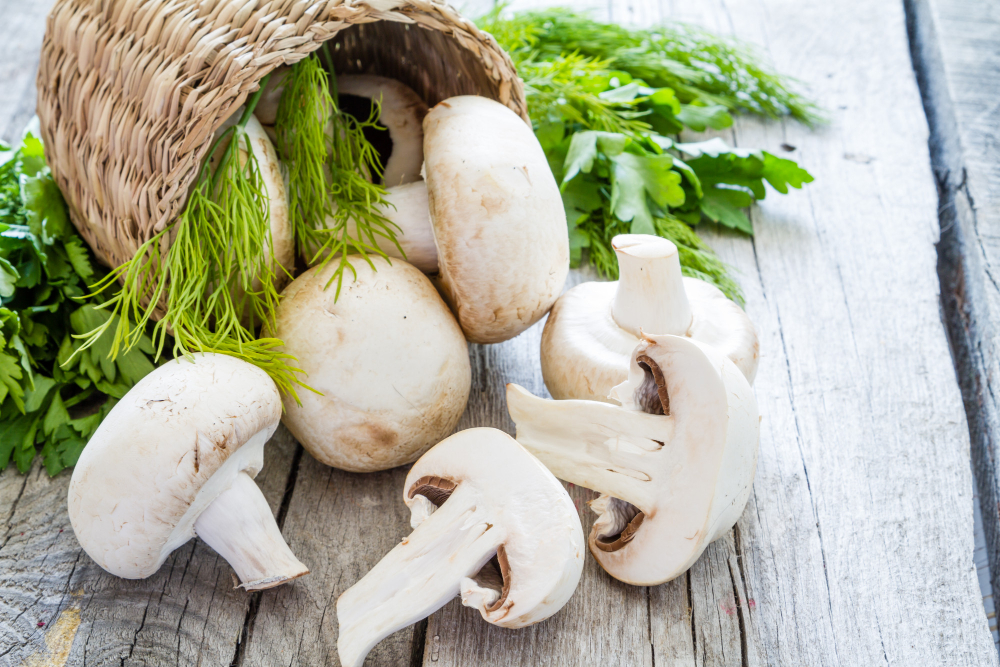 Mushroom