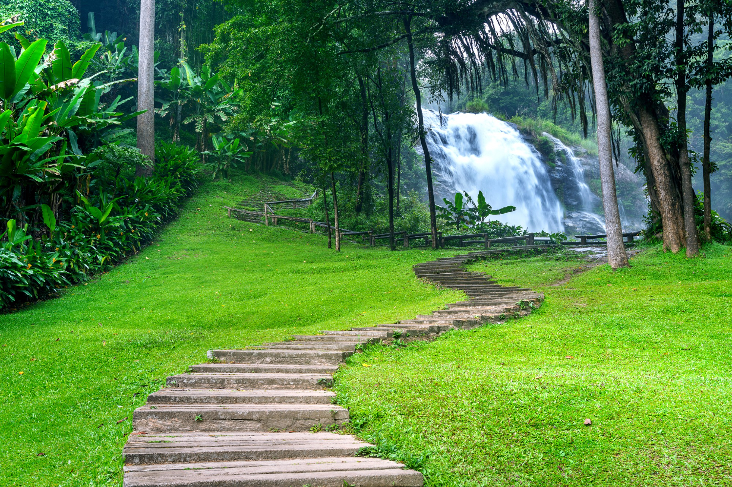 Nature