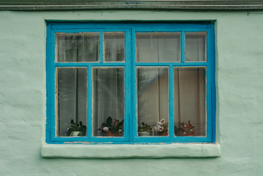Window
