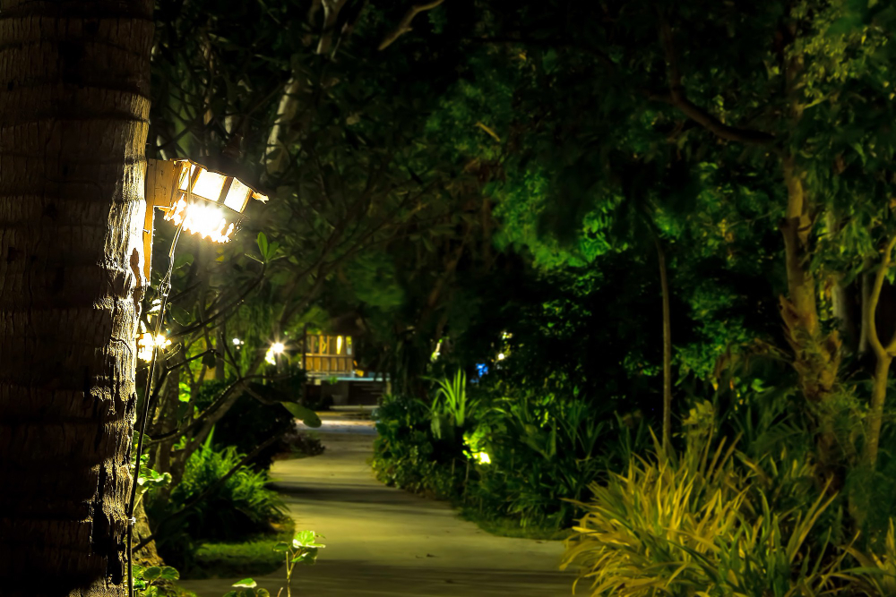 garden at night