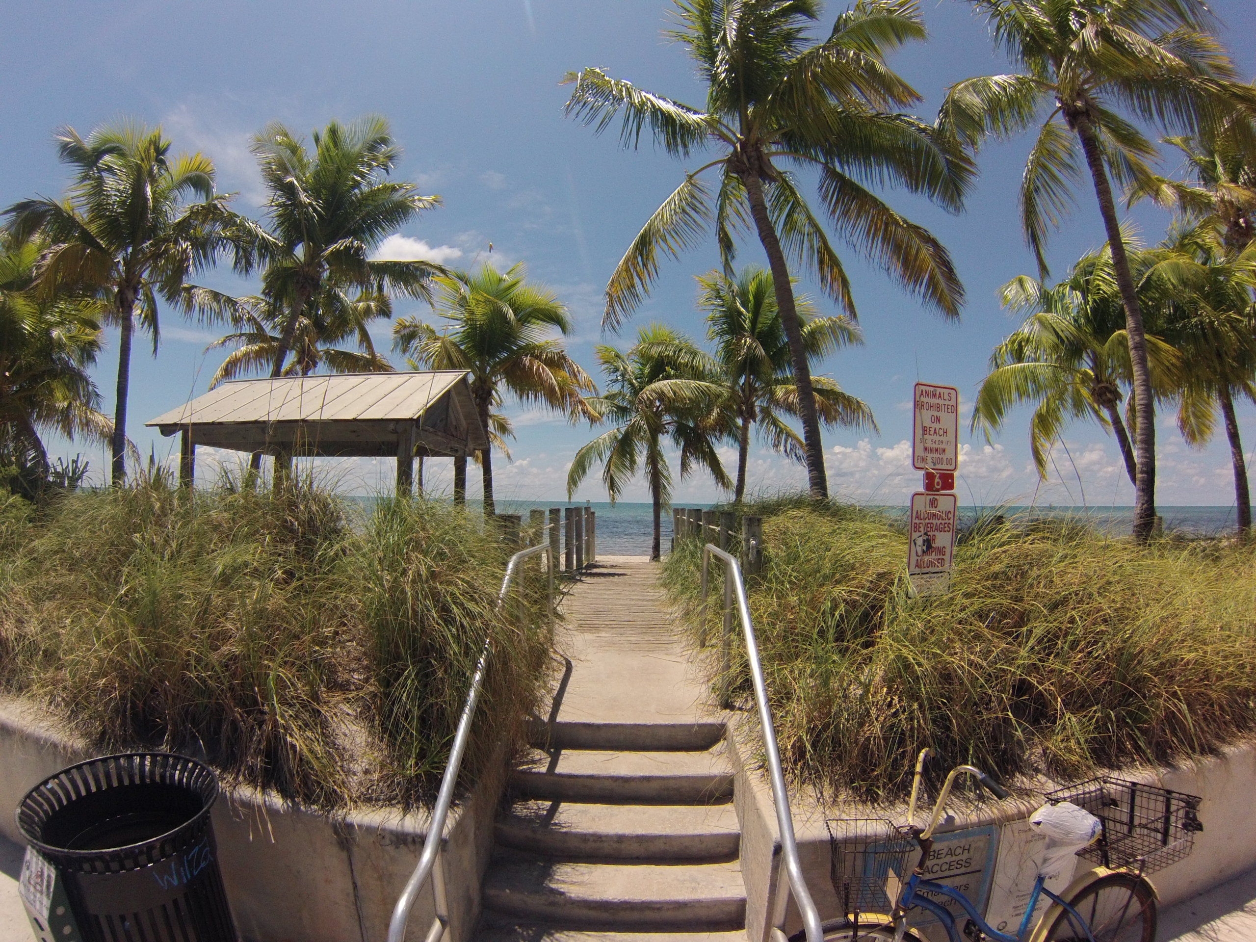 beach seaside