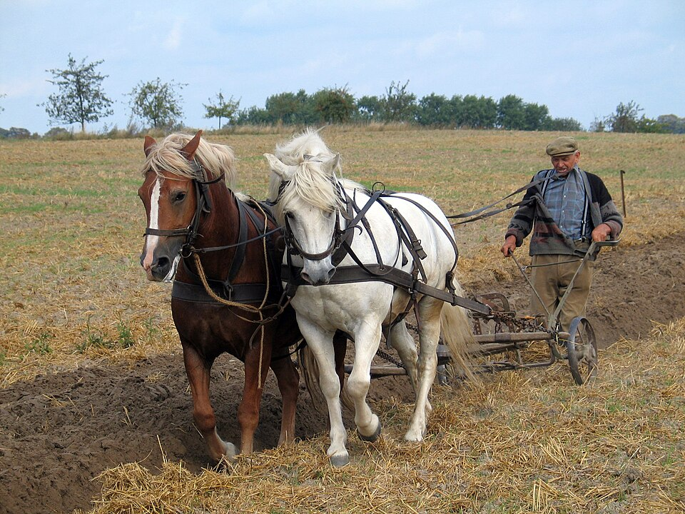 old plough agricultural