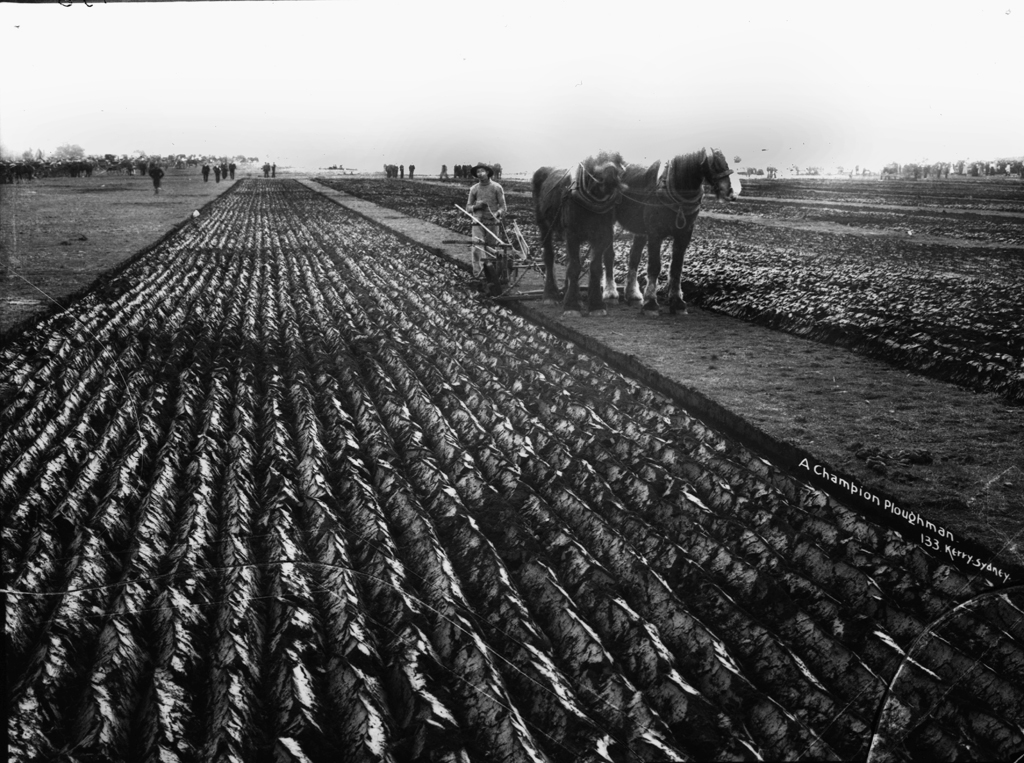 old plough agricultural