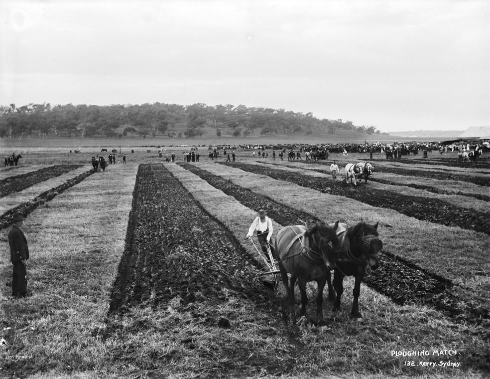 old plough agricultural