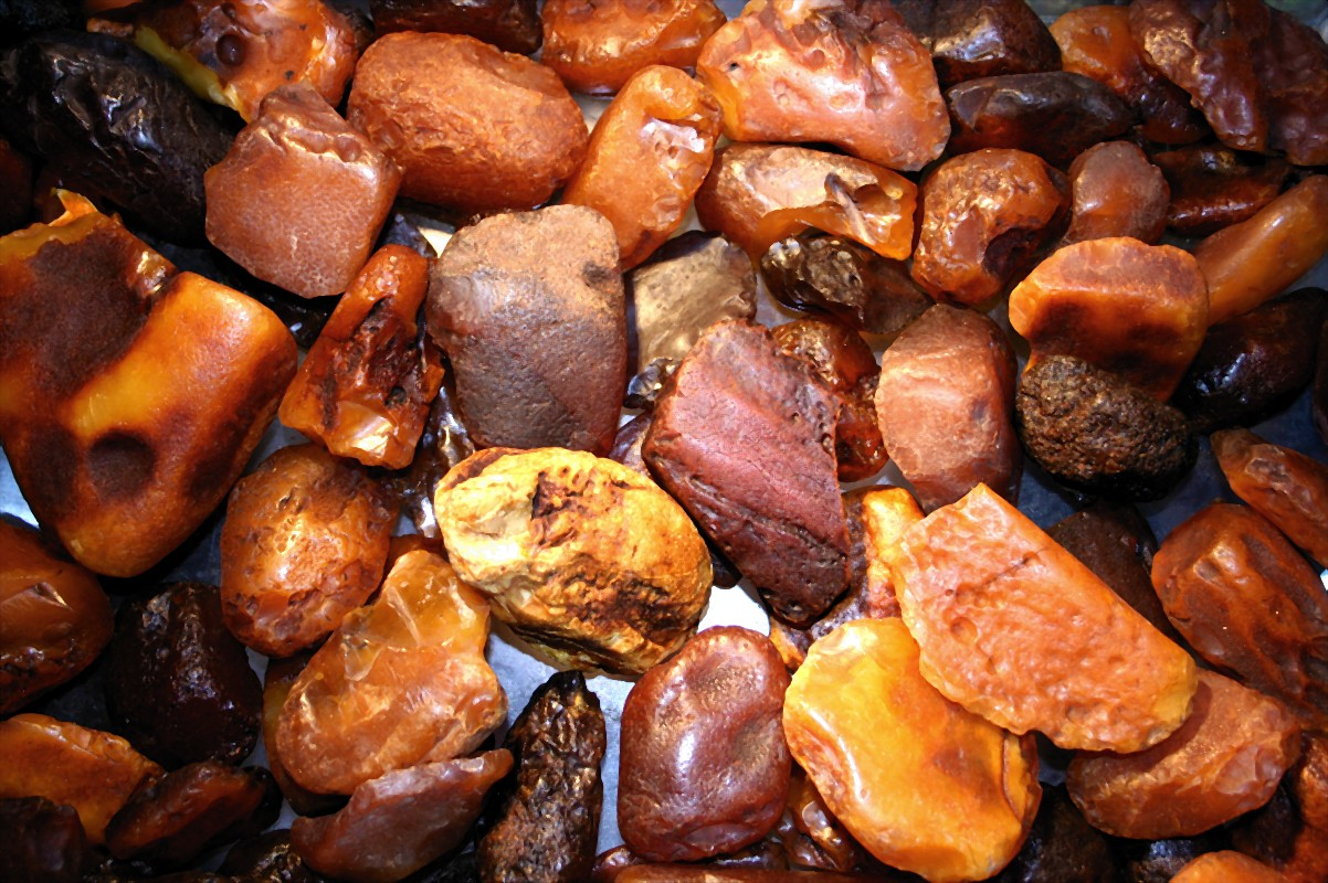amber resin fossil